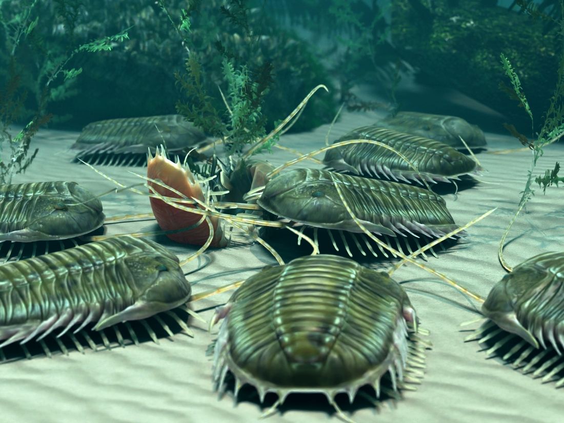 trilobiti-trilobitomorpha-trojlalocni