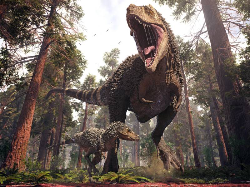 what are rex files