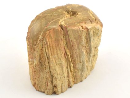 zkamenele drevo kmen 12