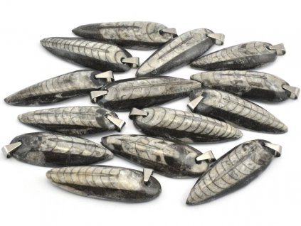 Přívěsky Orthoceras 5 cm z leštěného vápence s fosilií hlavonožce a ocelovým kovodílem.