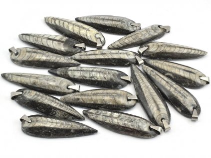 orthoceras privesek vetsi