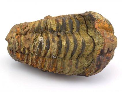 trilobit flexi 38