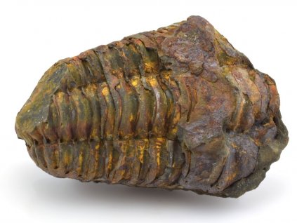 trilobit flexi 45