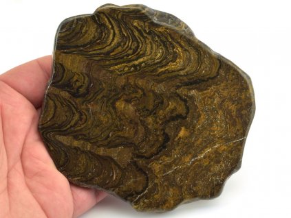 stromatolit platek 1b
