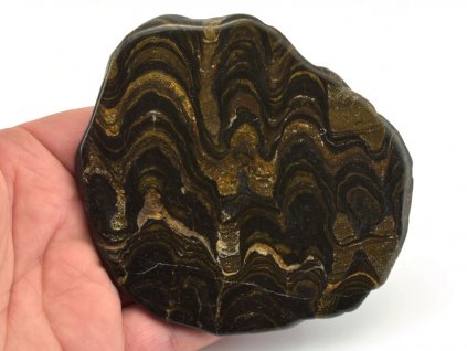 stromatolit platek 4b