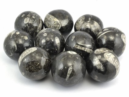 Leštěné orthoceras koule 4,7–5,5 cm z Maroka, ručně broušené fosilní zkameněliny.