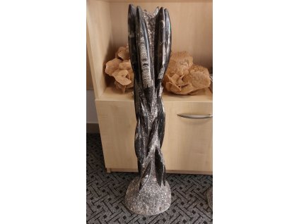 orthoceras vez xxl 1