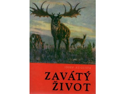 Zavátý život - Augusta