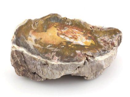 zkamenele drevo kmen 21a