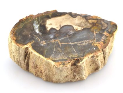 zkamenele drevo kmen 34