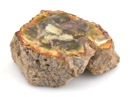 zkamenele drevo kmen 40