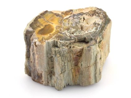 zkamenele drevo kmen 45