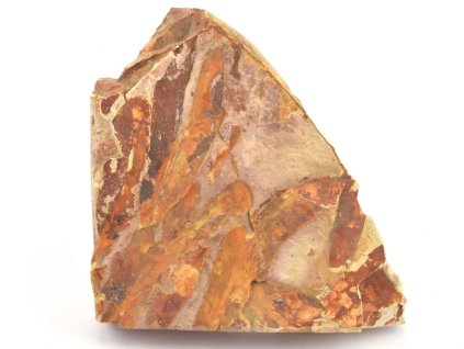 glossopteris fosilni listy 18