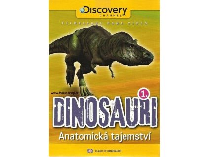 Dinosauři 1 - Anatomická tajemství