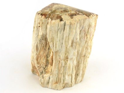 zkamenele drevo 34