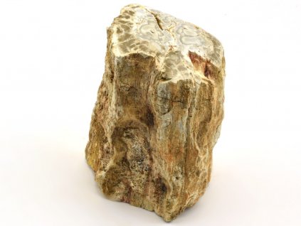 zkamenele drevo 39a
