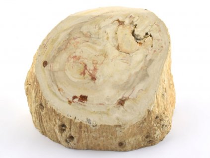 rez zkamenele drevo 9a