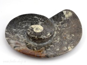Miska zkameněliny goniatit (31)