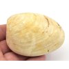 musle madagaskar 20