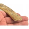 mamutovina 35b
