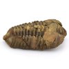 trilobit flexi 7a