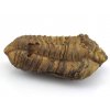trilobit flexi 25a