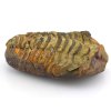 trilobit flexi 38a