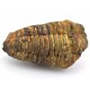 trilobit flexi 39