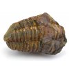 trilobit flexi 45