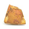 glossopteris australie 7