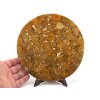 amonit tac 20cm 9a