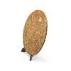amonit tac 20cm 9d