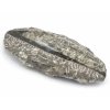 orthoceras deska mala 30a