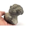 Fosilie devonského trilobita Drotops megalomanicus, sběratelský exemplář.