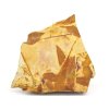 glossopteris 20b