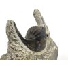 trilobit maroko 60b
