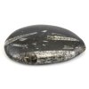 orthoceras maroko 30a