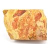 glossopteris fosilni listy 31