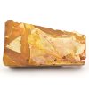 glossopteris fosilni listy 32