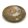 goniatit placicka 6a