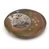 goniatit placicka 13a