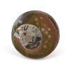 goniatit placicka 13