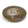 goniatit placicka 14a