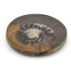 goniatit placicka 25a