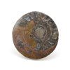 goniatit placicka 41