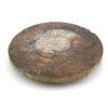 goniatit placicka 45a