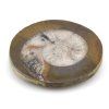 goniatit placicka 46a