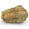 trilobit flexi 13a
