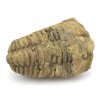 trilobit flexi 29a
