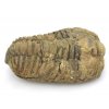 trilobit flexi 29